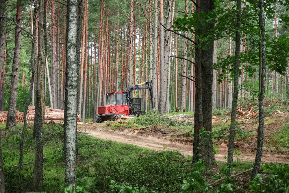 forest machine