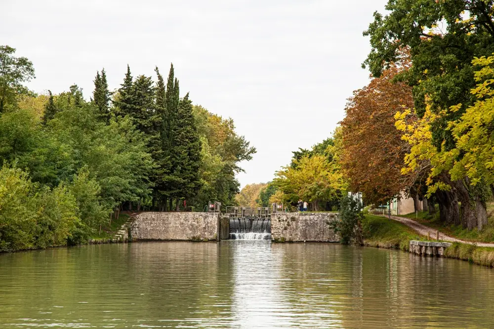 water garden