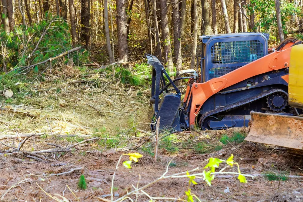 forestry tools