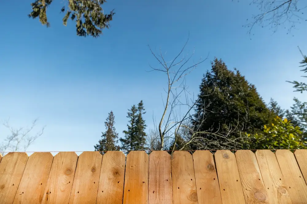 Harmonious forest landscapes with wooden fencing