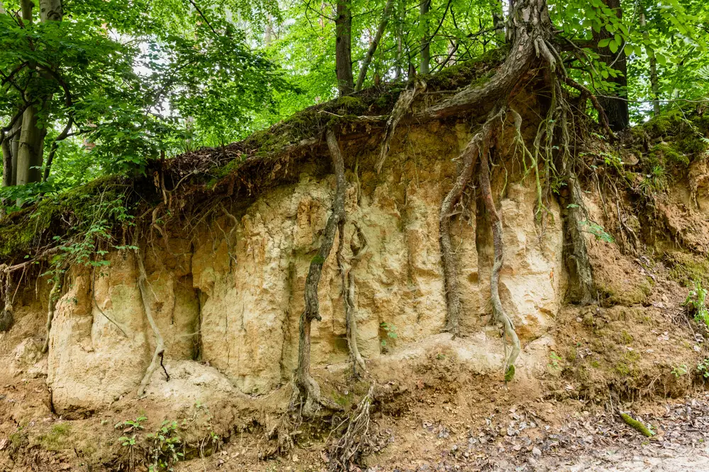 erosion control