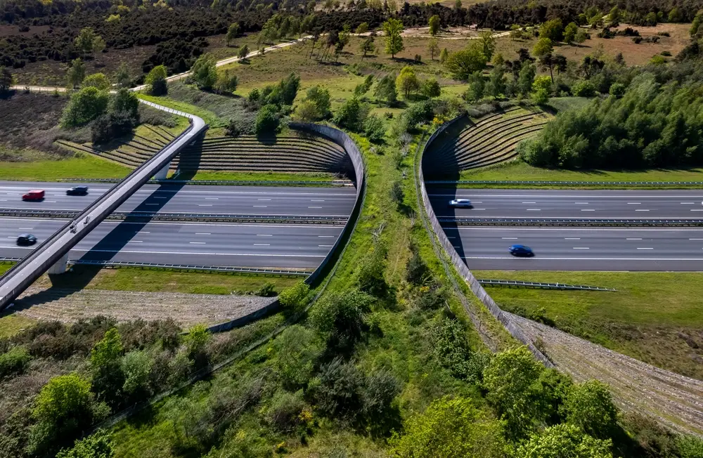 ecological corridors