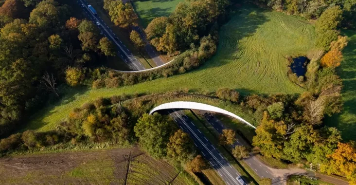 ecological corridors