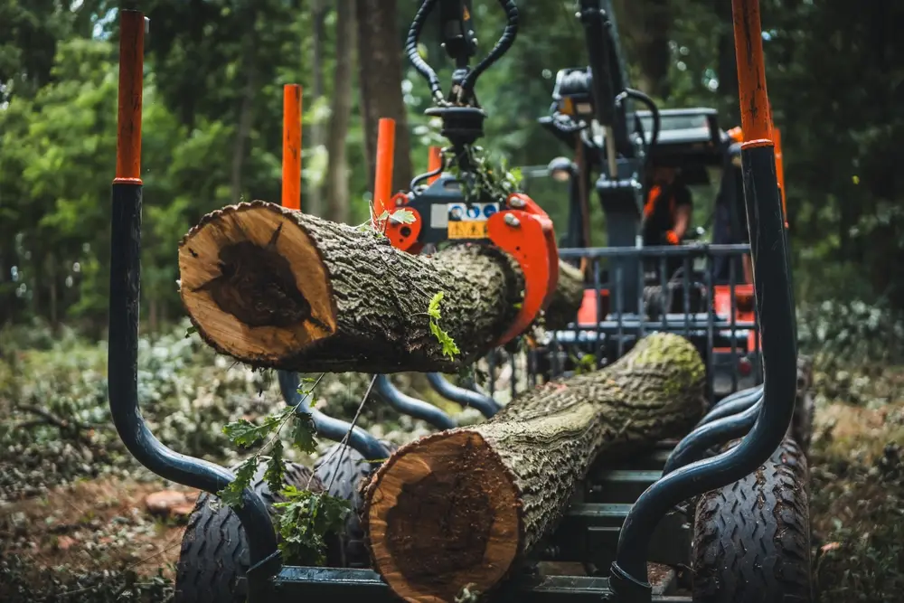 smart forestry equipment